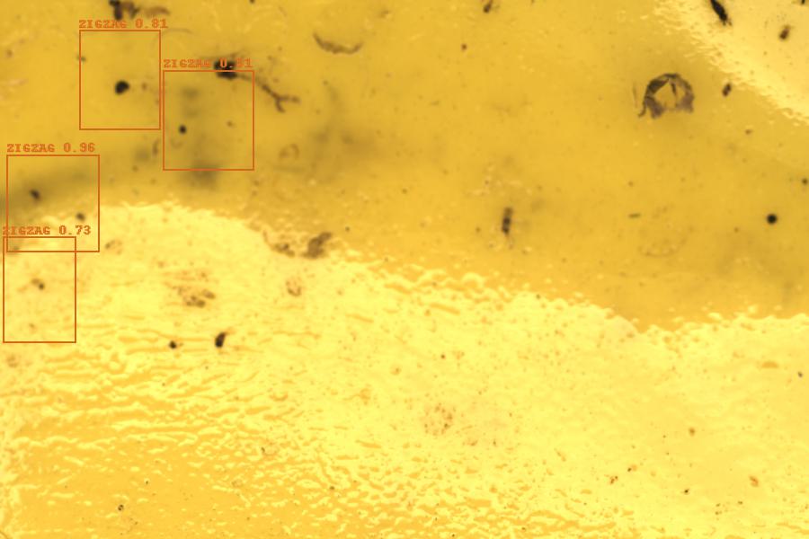 Image 36